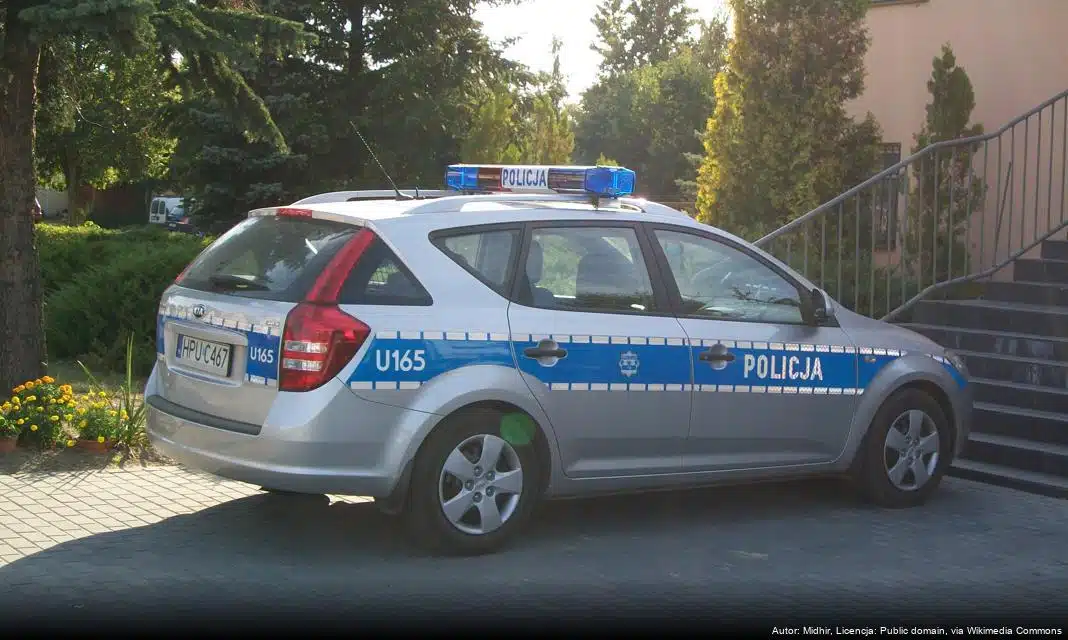 Nietrzeźwy kierowca zakończył nocny pościg w polu kukurydzy